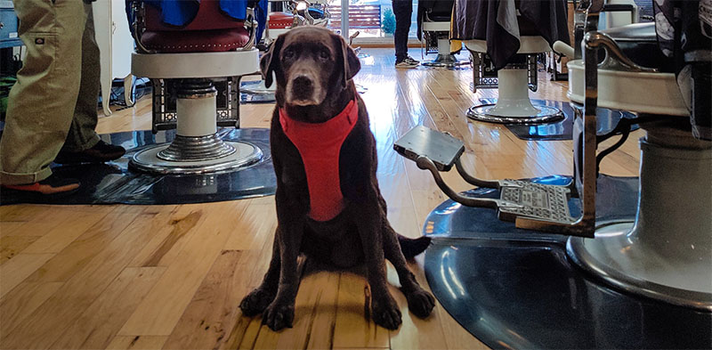 Ocean Beach Barbershop Story